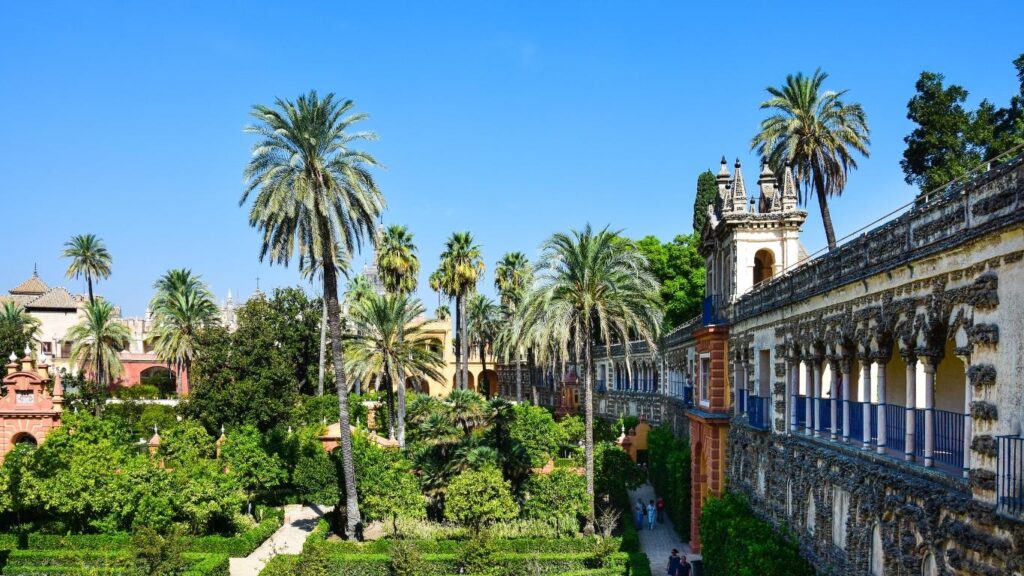 Vistosos Jardines de Murillo en Sevilla, con palmeras altas, vegetación exuberante y parte de la muralla del Alcázar.