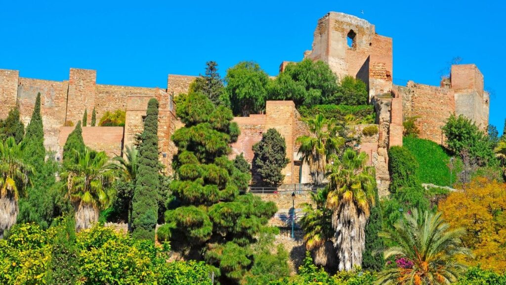 Vista exterior de las antiguas murallas de la Alcazaba de Málaga, rodeadas de palmeras y vegetación frondosa bajo un cielo azul.