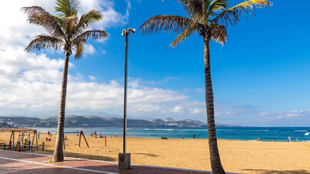Playa de Las Canteras en Las Palmas de Gran Canaria, mostrando palmeras y el paseo marítimo con el arrecife natural al fondo.