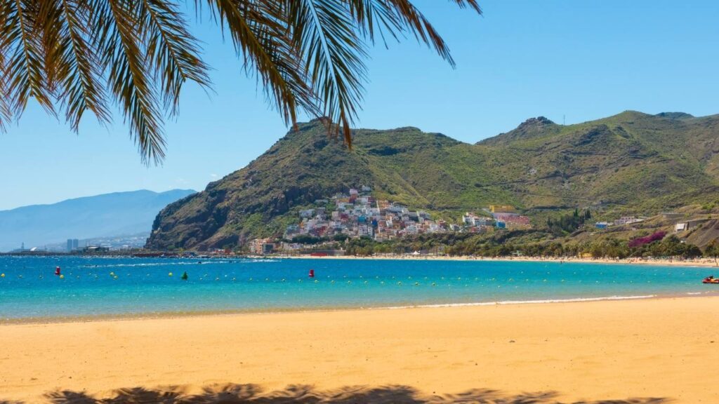 Vista en primer plano de Playa Las Teresitas con palmeras y montañas, mostrando la arena dorada y el agua azul claro.