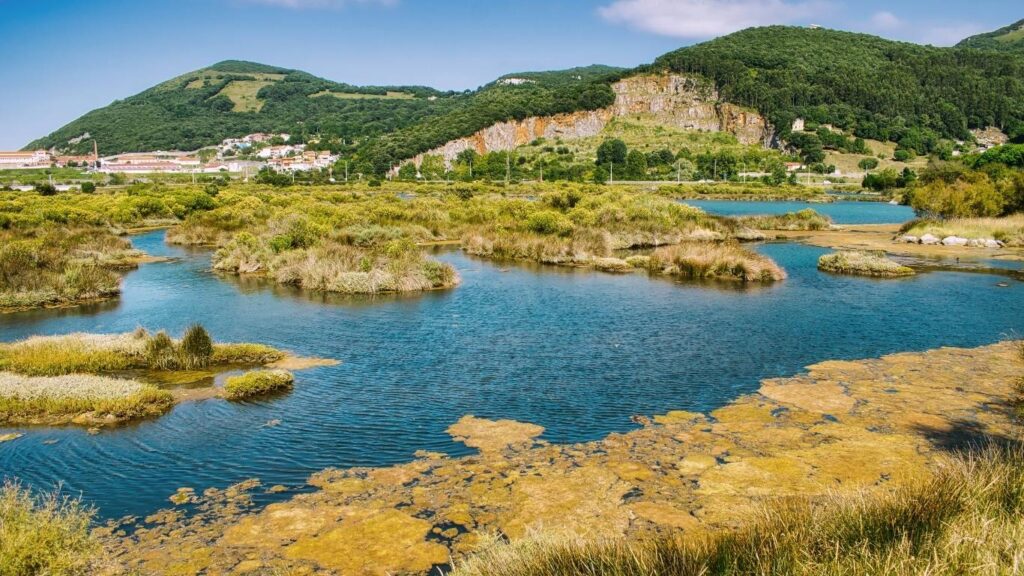 Paisaje natural de las Marismas de Santoña, Victoria y Joyel con humedales y montañas al fondo en Cantabria.