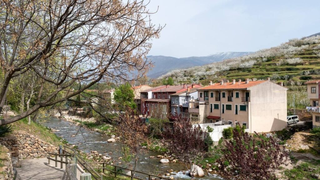 El río Jerte fluyendo entre rocas con casas típicas a la orilla y laderas de montañas cubiertas de cerezos blancos al fondo.