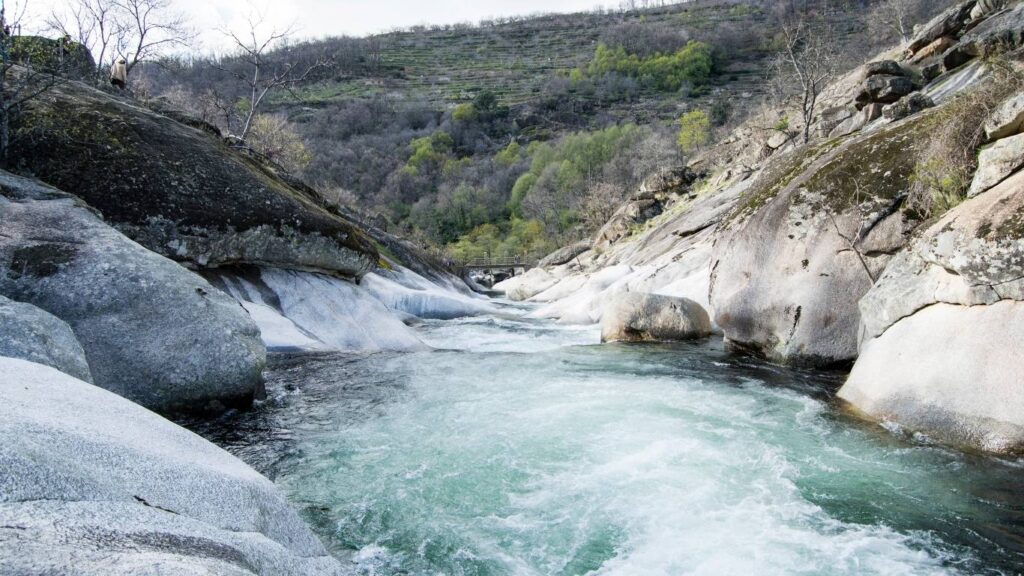 Río con agua cristalina fluyendo con fuerza entre grandes rocas lisas de color claro bajo una ladera de montaña con bancales de cerezos.