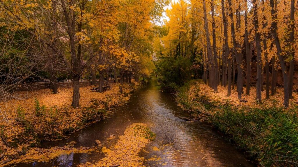 Sendero natural rodeado de árboles con hojas amarillas otoñales a orillas del río Guadalaviar en Albarracín.