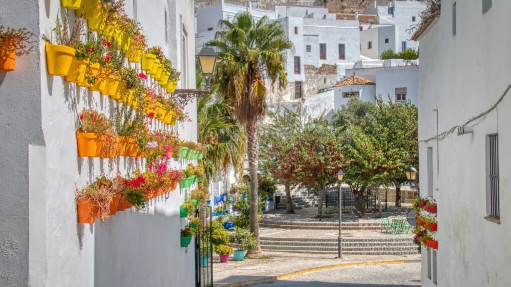 Calle estrecha de Vejer de la Frontera con paredes blancas decoradas con decenas de macetas de color amarillo brillante.