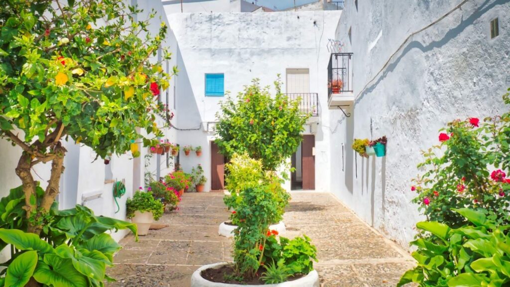 Patio andaluz típico en Vejer de la Frontera con plantas verdes, flores y paredes blancas bajo el sol.