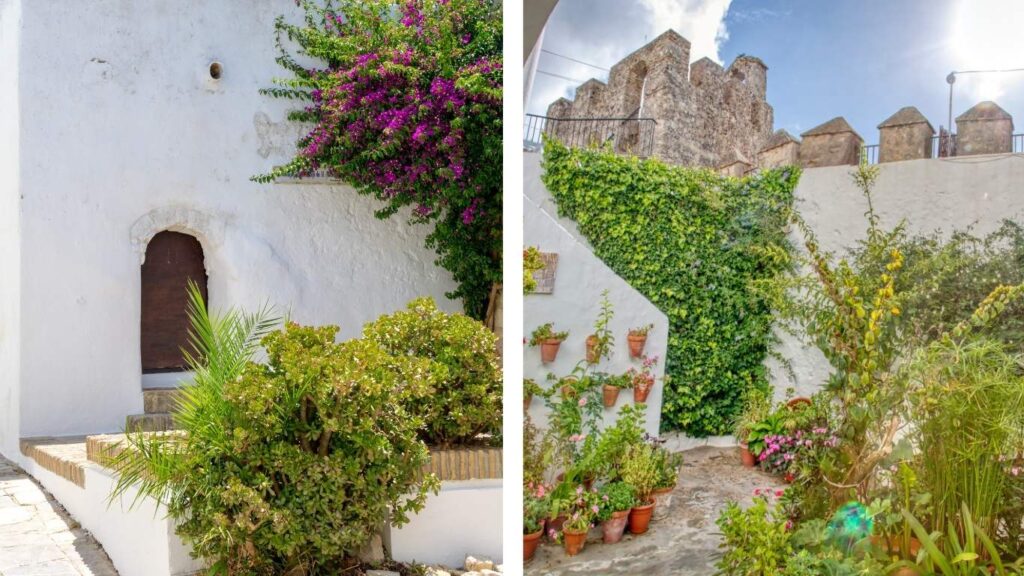 Patio de la Casa del Mayorazgo en Vejer con buganvillas rosas y vistas a la torre de la iglesia al fondo.
