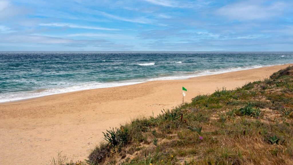 Extensión de arena fina y oleaje en la Playa de El Palmar, destino principal de surf que ver en Vejer de la Frontera.
